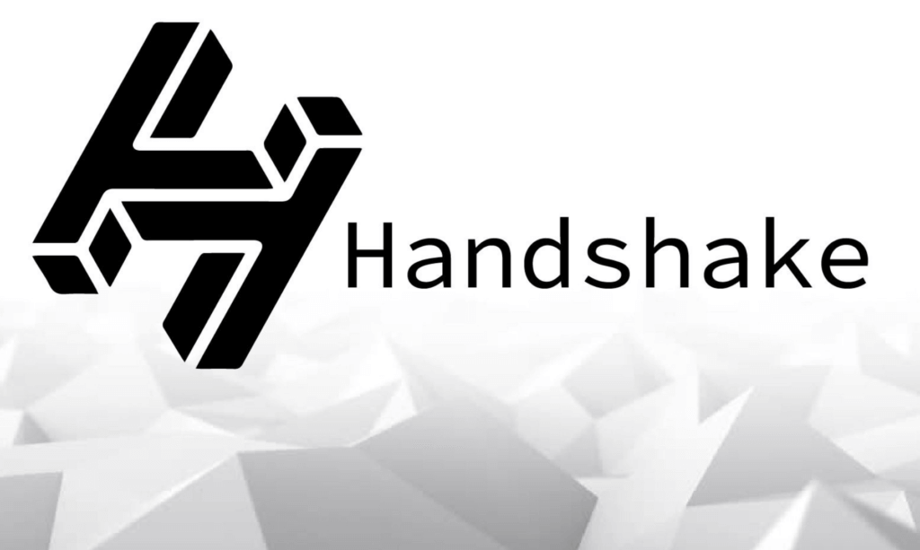 DNS протокол Handshake провел экстренный софт-форк