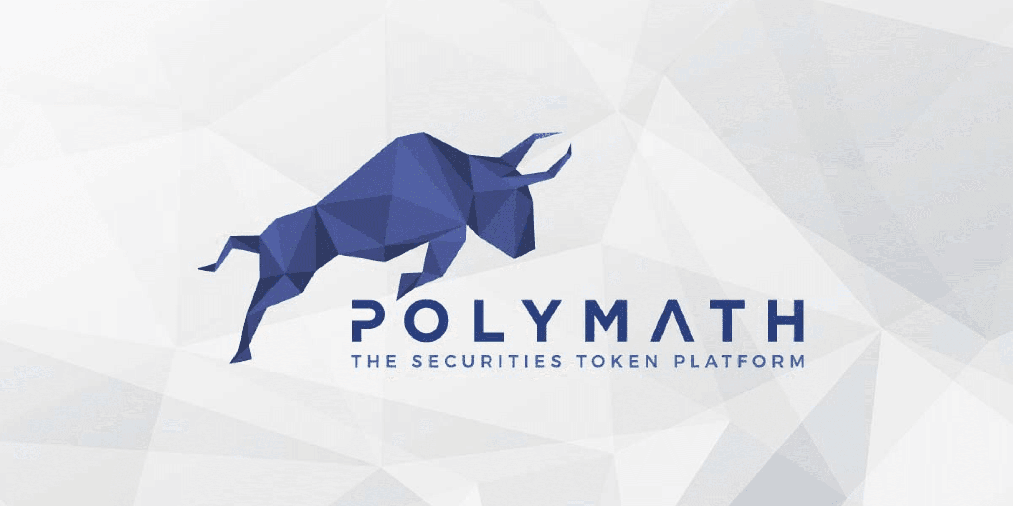 Основатель стартапа Polymath арестован полицией Торонто