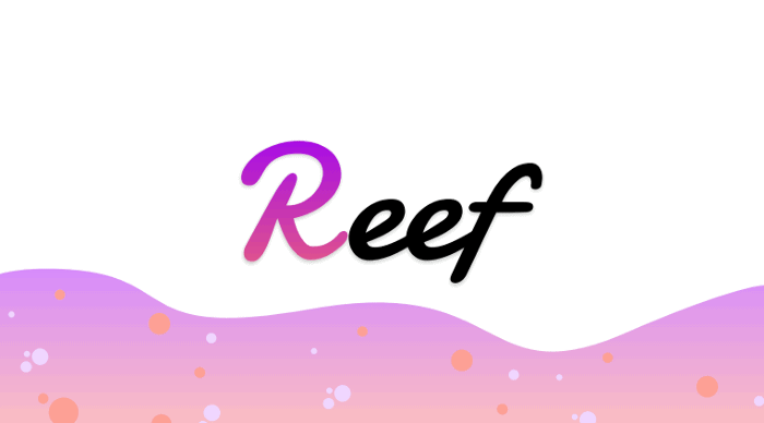 3 причины сплочения Reef Finance, Bridge Mutual и Morpheus Network