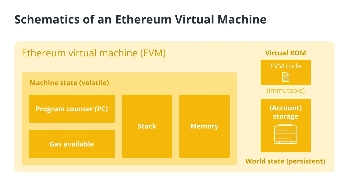 Что такое виртуальная машина Ethereum (EVM) и как она работает? |  Блокчейн24 - новости криптовалют, ICO, прогнозы курсов, биржи, майнинг