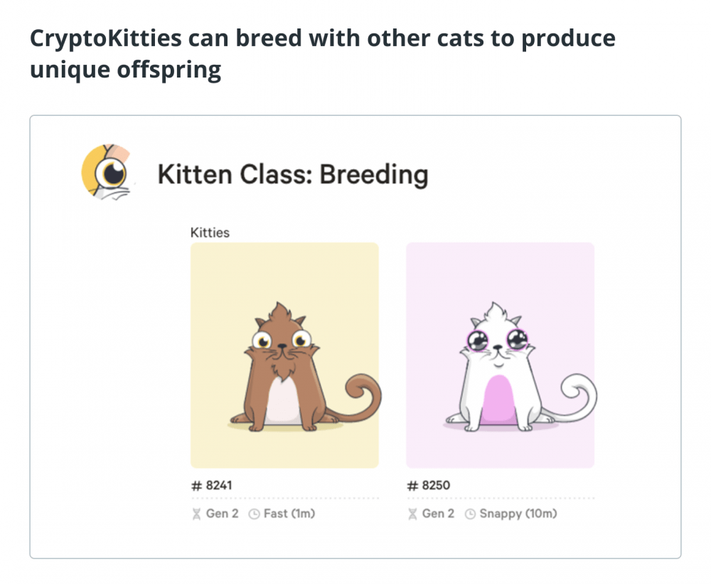 Как играть и зарабатывать в CryptoKitties | Блокчейн24 - новости  криптовалют, ICO, прогнозы курсов, биржи, майнинг