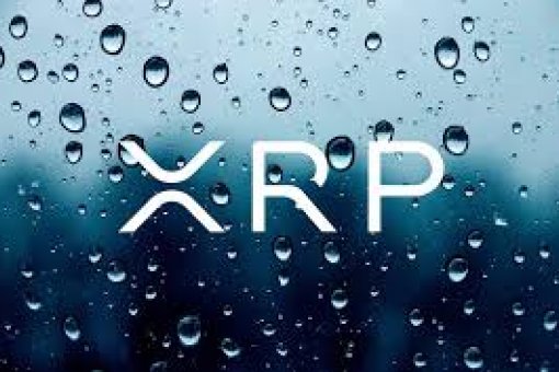 Средний убыток инвесторов XRP составляет $ 6 тыс