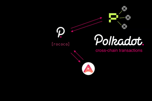 Phala и Acala продемонстрировали кроссченовые транзакции в тестовой сети Polkadot Rococo V1