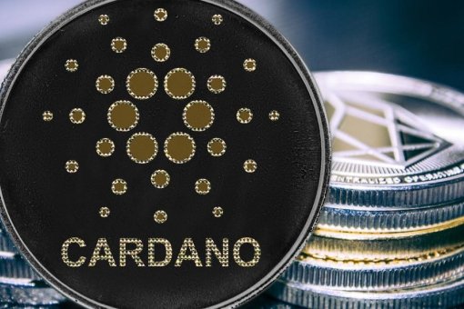 FD7 Ventures создает фонд в размере 250 миллионов долларов для разработчиков Cardano и Polkadot