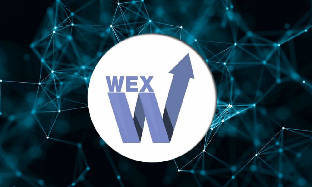 Wex on the beat. Wex биржа. Wex криптобиржа. Криптобиржа Wex лого. Васильев Wex.